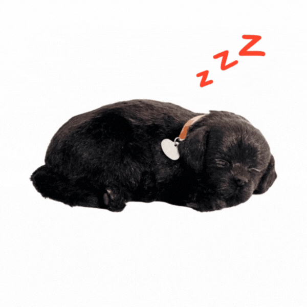 Cățeluș de pluș Labrador Negru Perfect Petzzz care respiră [2]