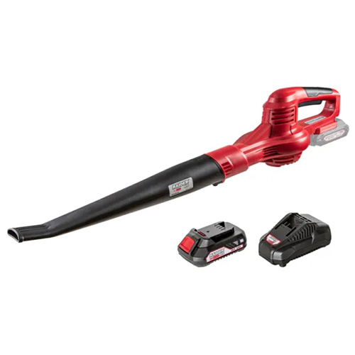 Аккумуляторный садовый пылесос Raider RDP-SBL20 Set [1]