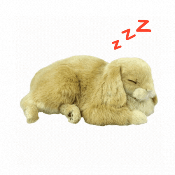 Iepuraș de pluș Minilop Perfect Petzzz care respiră [2]