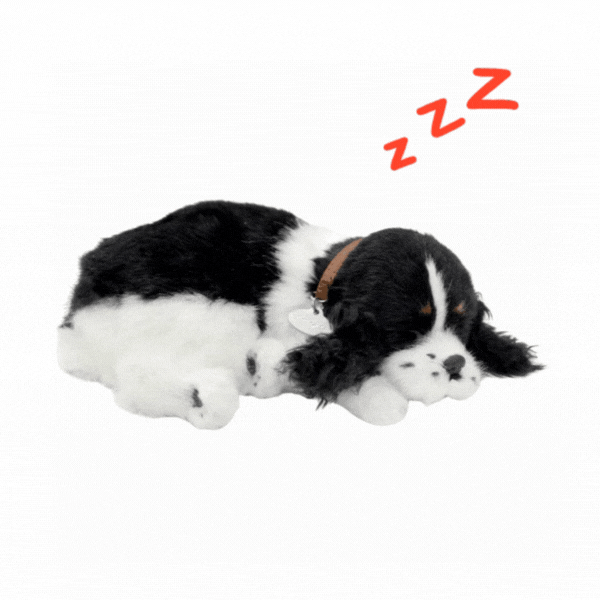 Плюшевый щенок Кокер-спаниель Perfect Petzzz с дыханием [2]