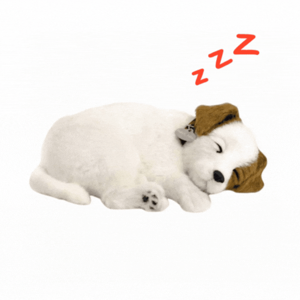 Плюшевый щенок Джек Рассел Терьер Perfect Petzzz с дыханием [2]