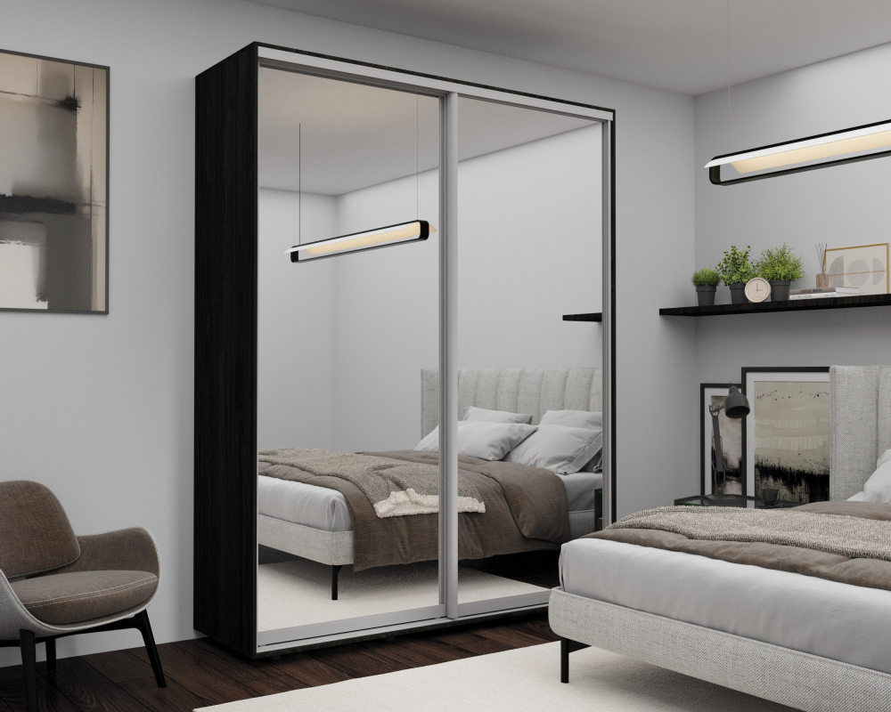 Шкаф-купе Nex Home Зеркало + Антрацит 200×60×220 см – Настоящая гардеробная с огромными зеркалами [1]