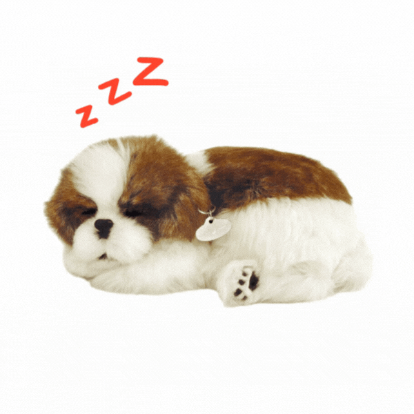 Плюшевый щенок Ши-тцу Perfect Petzzz с дыханием [2]