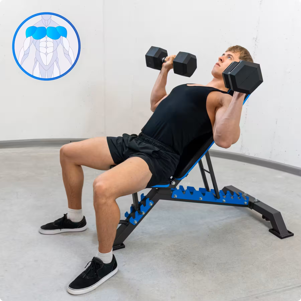 Скамья для тренировок регулируемая THUNDER GRYND – 8 положений спинки + 4 положения сиденья, складная, 15 кг – Полный и безопасный тренинг дома! [3]