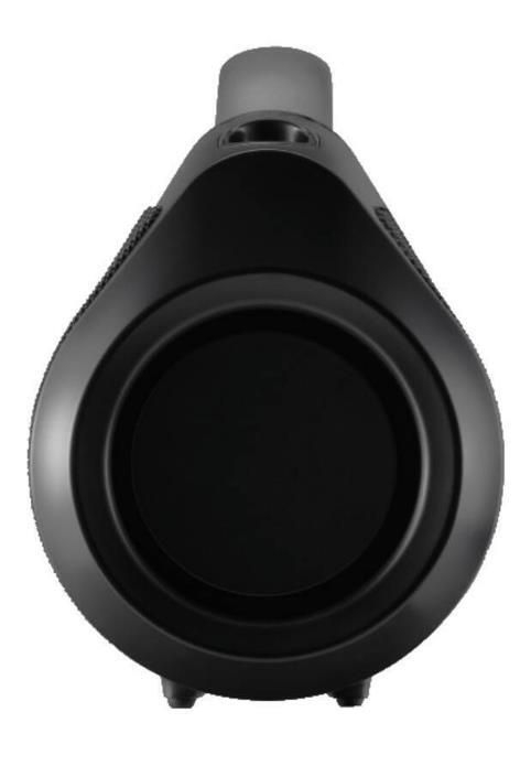 Boxă Bluetooth CANTON Mate Pro – 60 W, sunet 360°, baterie 12 ore, IPX6, neagră – bestia portabilă germană [11]