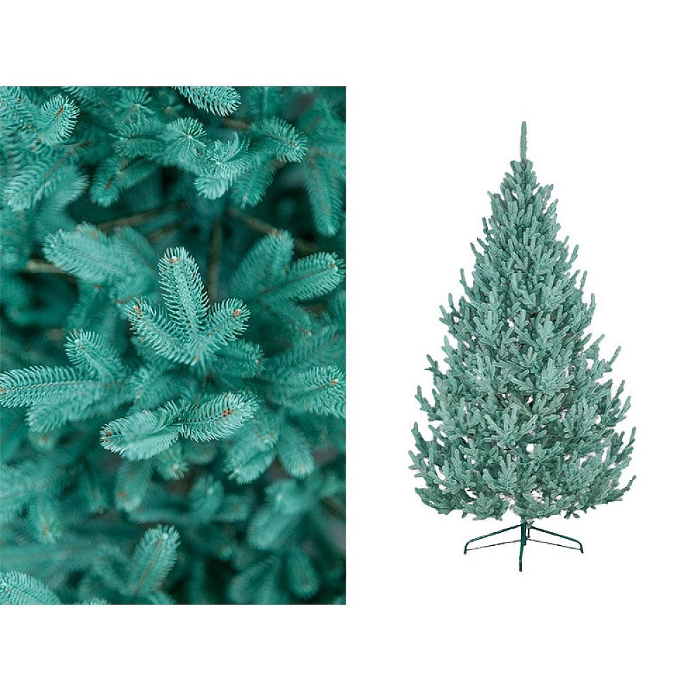 Искусственная ёлка Vienez голубая 210 см, 771 ветка, PE – высокая голубая ёлка [1]