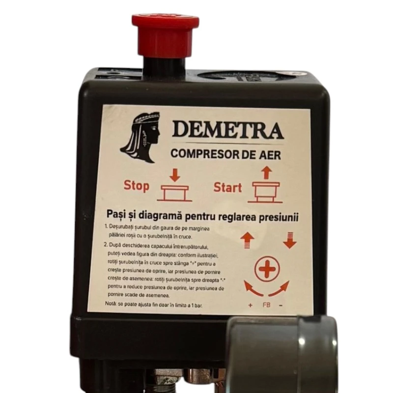 Compresor de aer Demetra DM-V025125 – Putere Profesională pentru Lucrări Intensive [4]