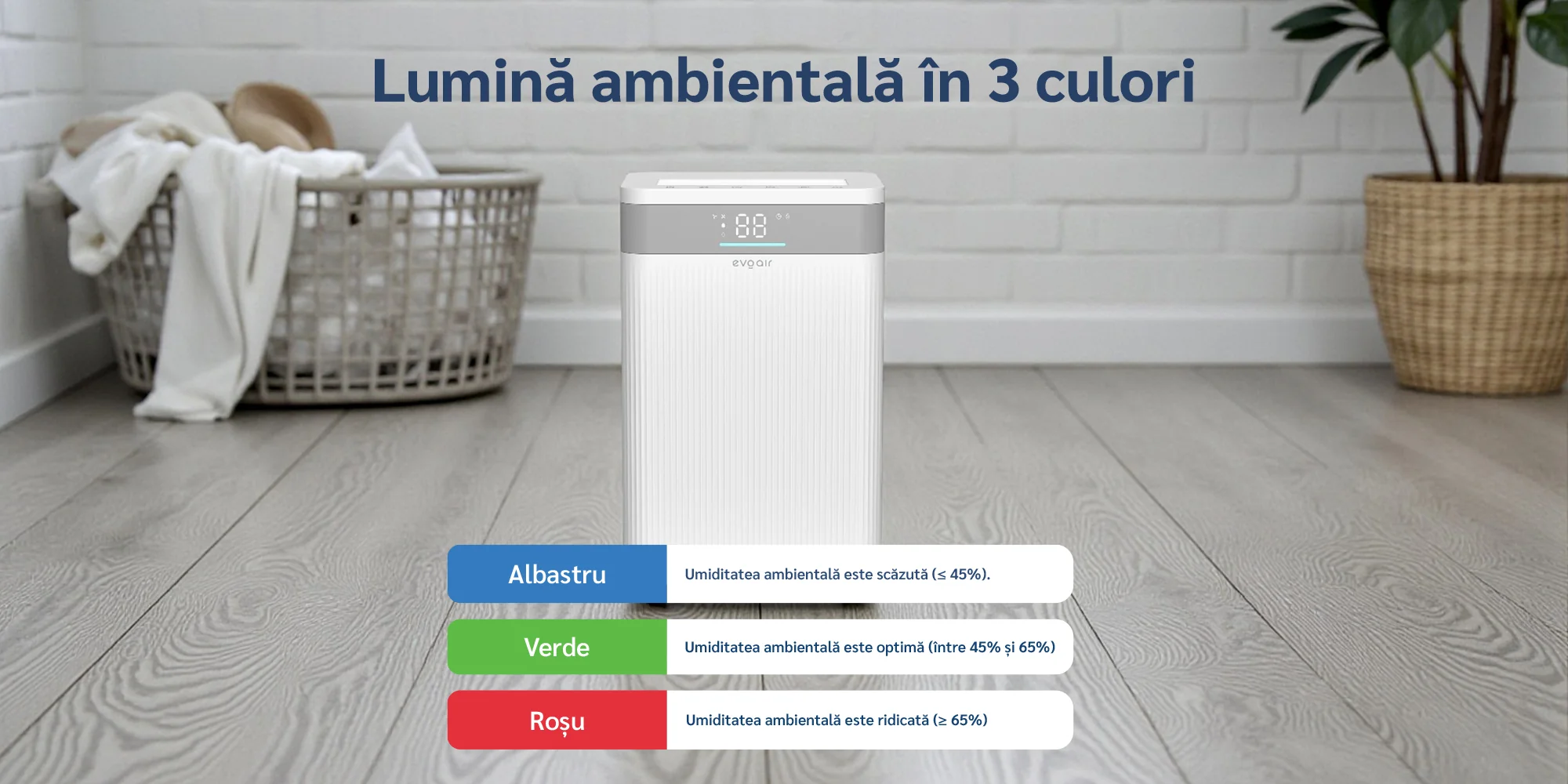 Dezumidificator de aer Evoair ComfoDry 10 (10L/24h, Silențios, Senzor de umiditate, Uscare rufe) [5]