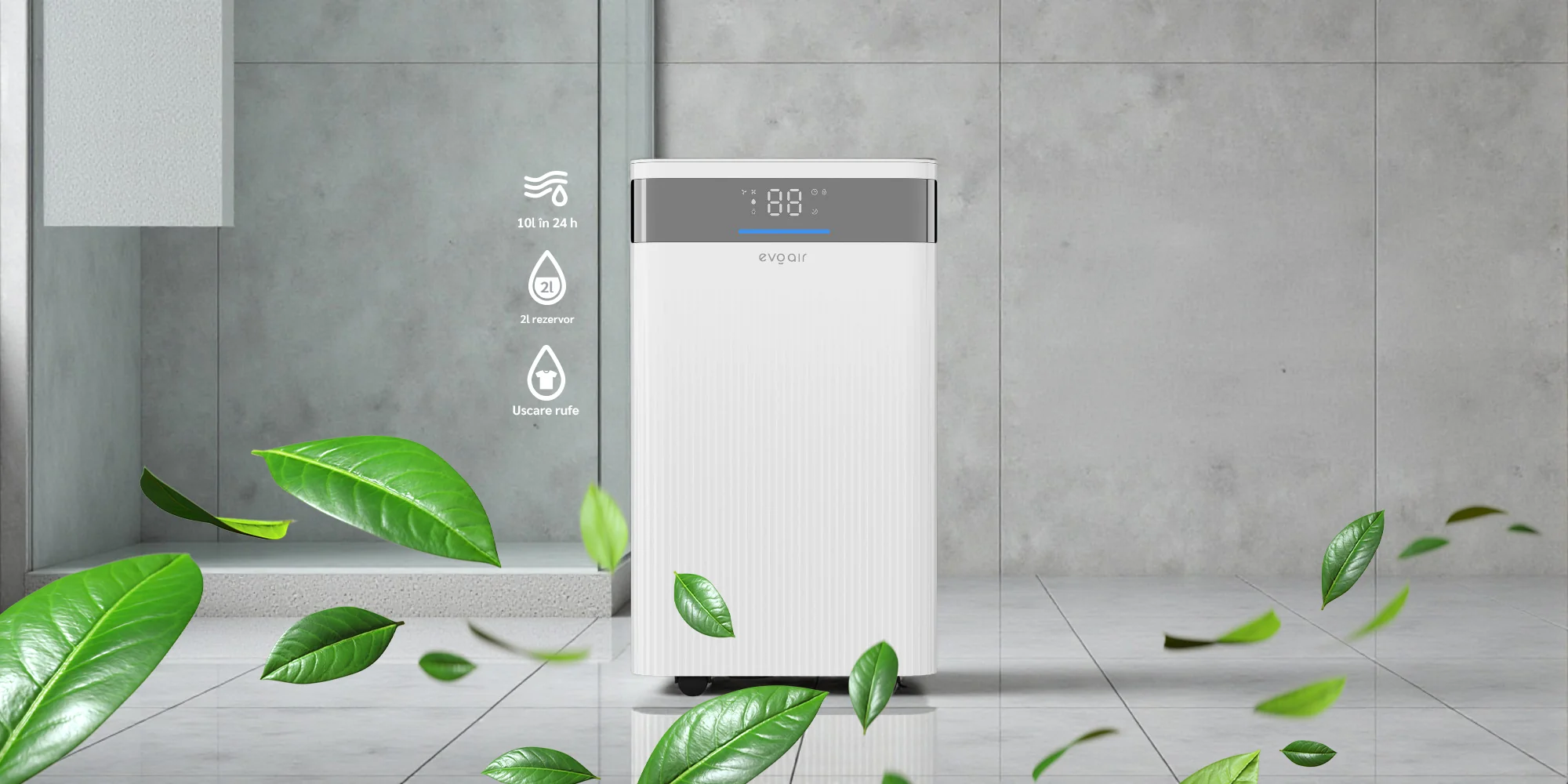 Dezumidificator de aer Evoair ComfoDry 10 (10L/24h, Silențios, Senzor de umiditate, Uscare rufe) [2]