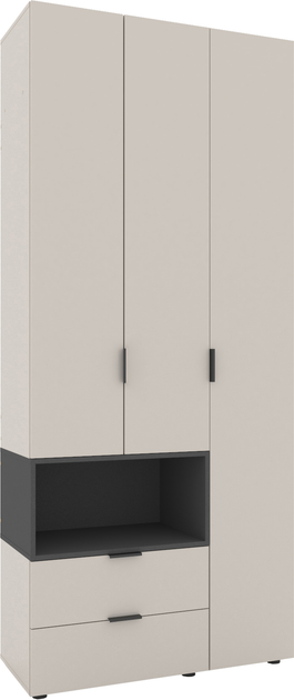 Dulap cu uși batante Nex Home A002L, 1000x420x2300 mm, Anthracite/Cashmere [1]