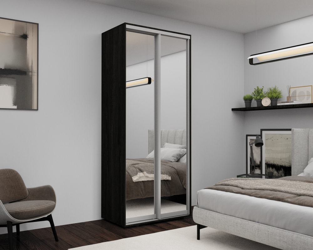 Шкаф с раздвижными дверями Nex Home, Зеркало, Carbon 100x60x220 см [1]