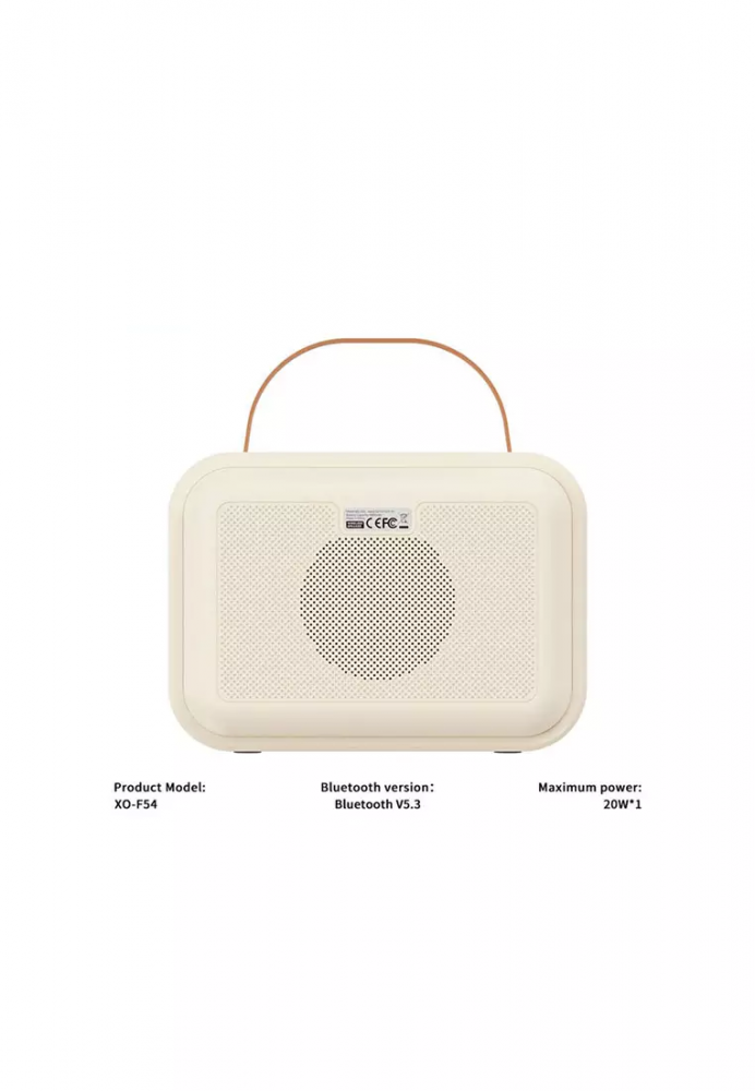 F54 Lapis Lazuli Cold Light Karaoke Speaker 20W (with Microphone*1) [2]