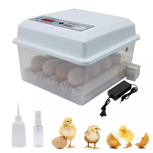 Incubator automat pentru ouă Demetra DM-1000 - profesional, rezultate rapide [3]