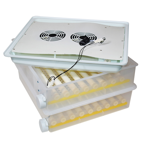 Incubator automat pentru ouă Demetra DM-120 - ecloziune eficientă [11]
