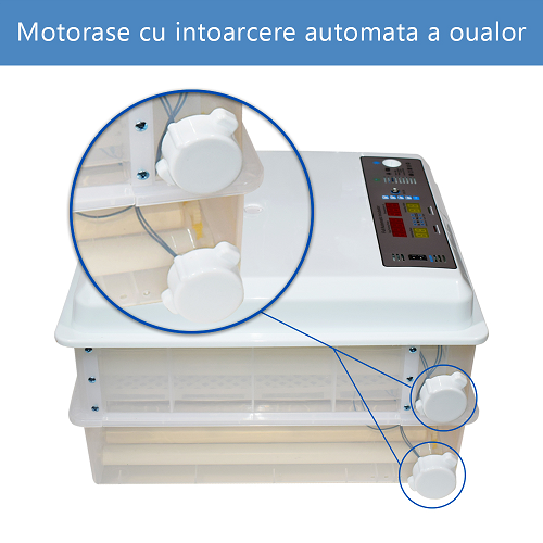 Incubator automat pentru ouă Demetra DM-120 - ecloziune eficientă [4]