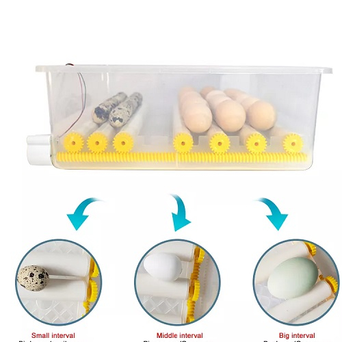 Incubator automat pentru ouă Demetra DM-16 - perfect pentru gospodării [5]