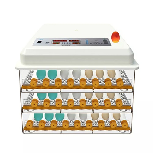 Incubator automat pentru ouă Demetra DM-16 - perfect pentru gospodării [2]