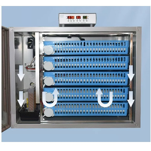 Incubator automat pentru ouă Demetra DM-256 - uniformitate în ecloziune [4]