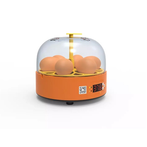 Incubator automat pentru ouă Demetra DM-5 - model economic, rezultate excelente [3]