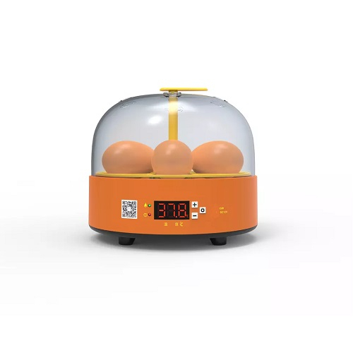 Incubator automat pentru ouă Demetra DM-5 - model economic, rezultate excelente [2]