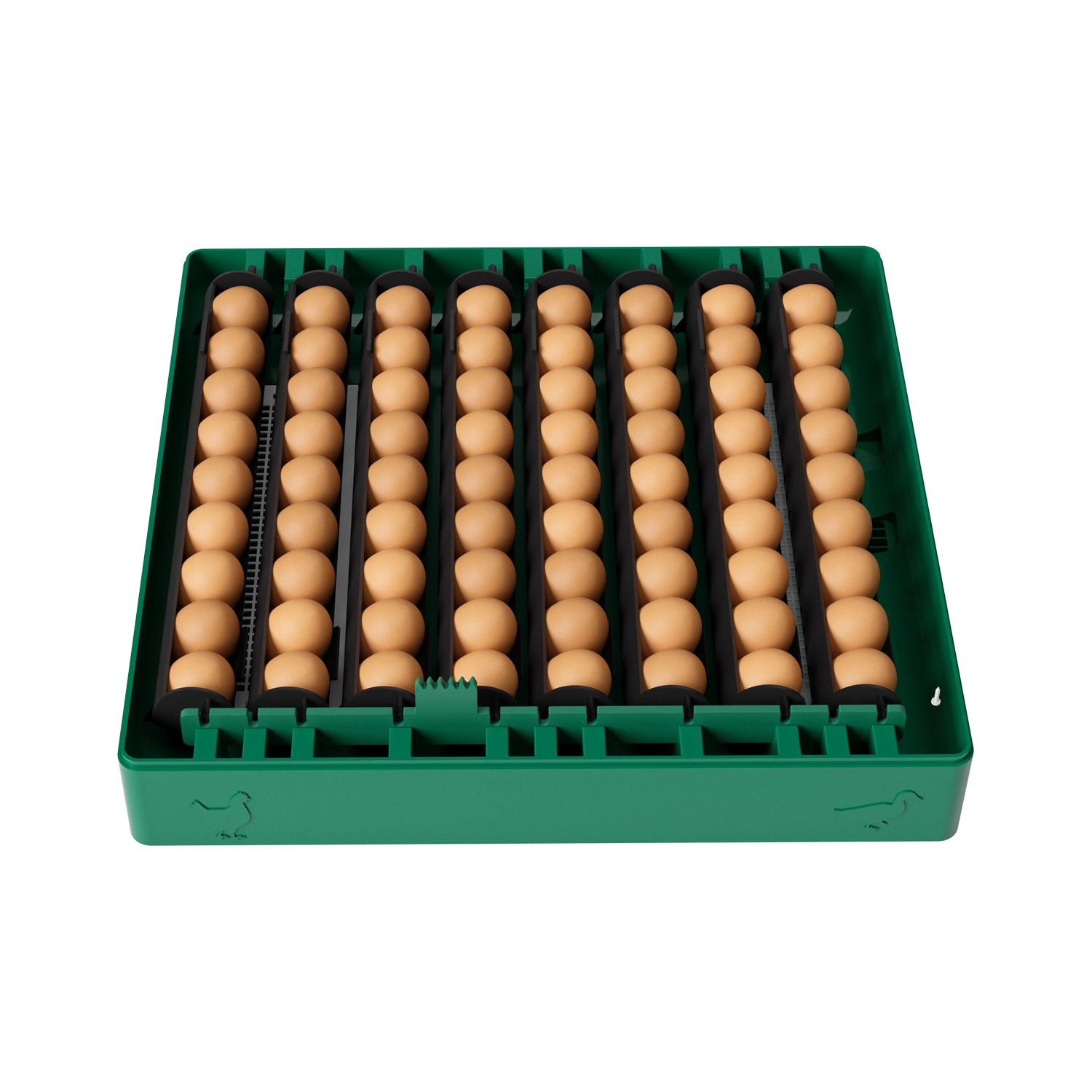 Incubator automat pentru ouă Des Champs EU PROFI C-72 [5]
