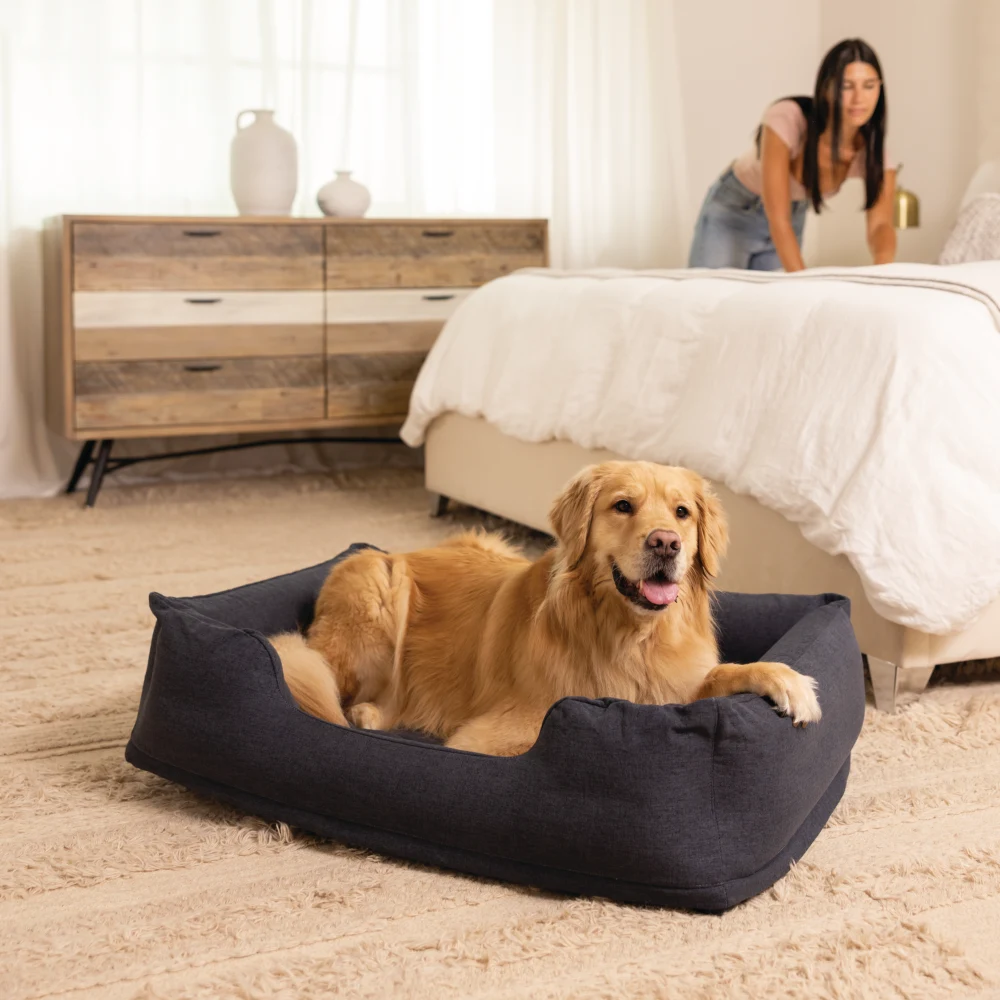 Pat gonflabil pentru animale de companie INTEX – Confort premium pentru prietenul tău necuvântător [2]