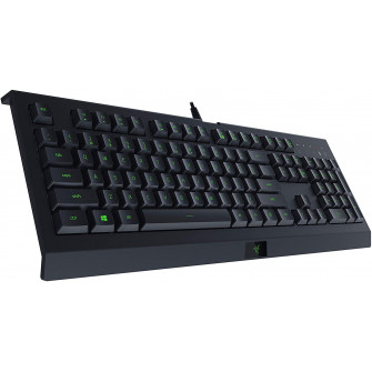 Razer Combo Cynosa Lite & Abyssus Lite RU Layout [5]