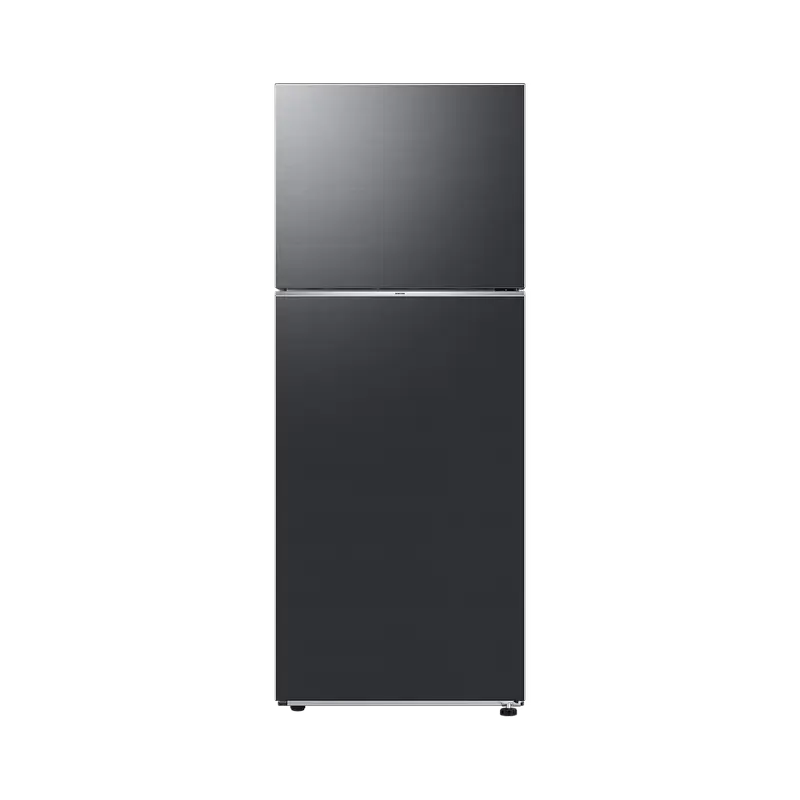 Refr/DD Samsung RT42CG6000B1UA [1]