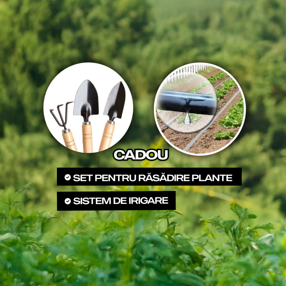 Теплица садовая Деметра 6×3×2 м (18 м²) – Профессиональная модель DM-632 с армированной плёнкой 200 г/м² + ПОДАРОК лопатки и система полива [5]