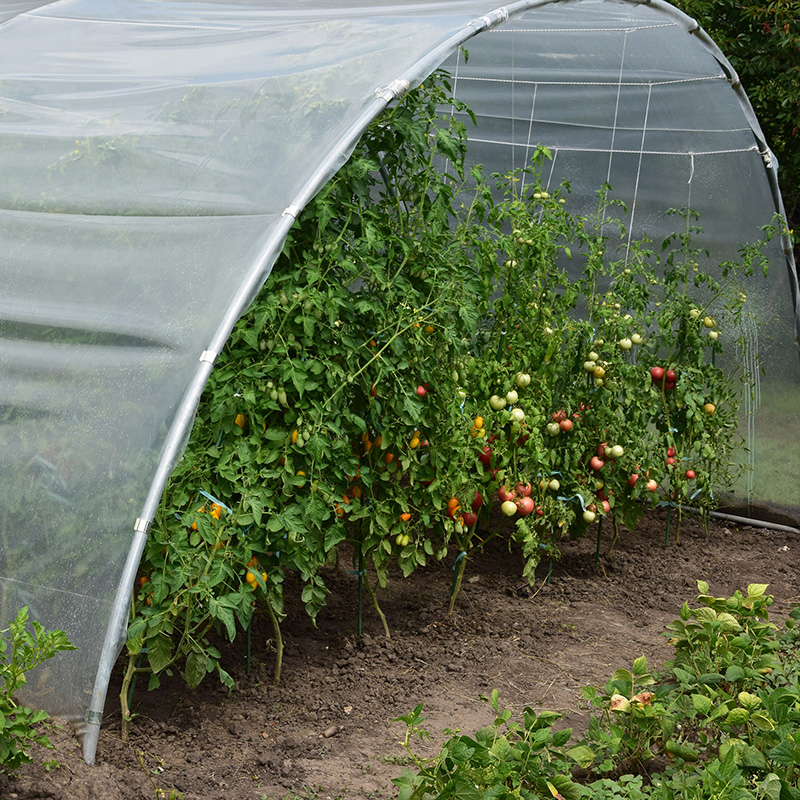 Seră profesională Demetra Italia 27m² (6-4.5-2.5m) - protecție optimă pentru plante [6]
