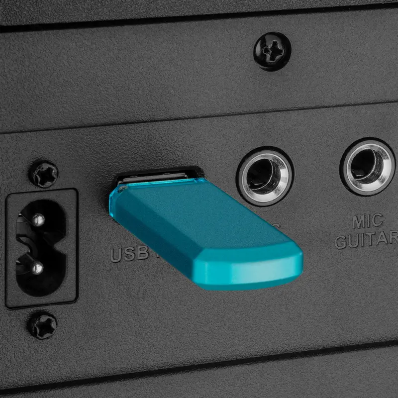 Sistem audio SVEN PS-1000, Negru [11]