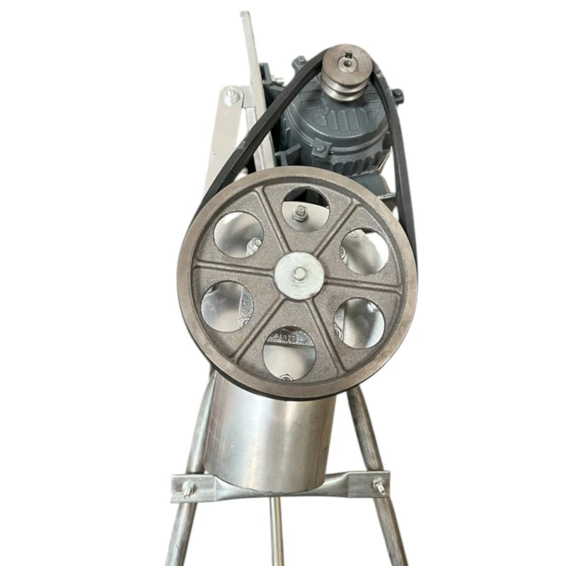 Șnec Transportator de Cereale Demetra DM-2.7 – Motor 3000W cu Bobinaj din Cupru, Lungime 2.7m, Diametru 165mm [5]