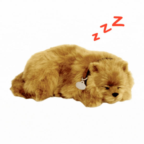 Cățeluș de pluș Pomeranian Perfect Petzzz care respiră [1]