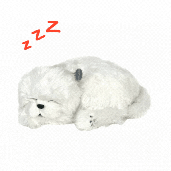 Cățeluș de pluș Bichon Maltez Perfect Petzzz care respiră [1]