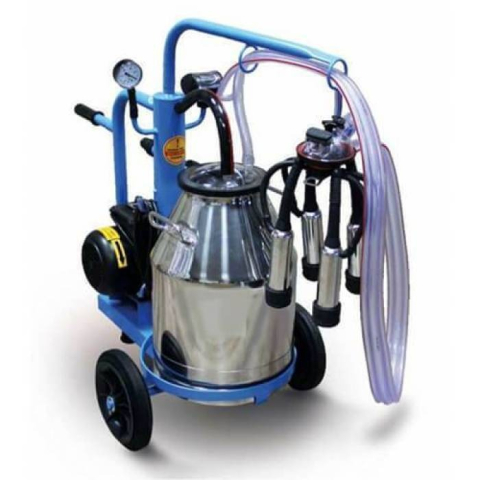 Aparate de muls - Aparat de muls vaci Tehno MS, 1 post, bidon inox 30 l