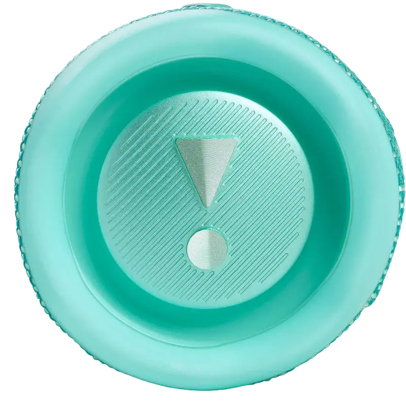 Портативная колонка JBL Flip 6, Бирюзовая [2]