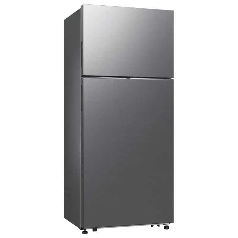 Фригидер Samsung RT53DG7A14S9EO, Нержавеющая сталь [3]