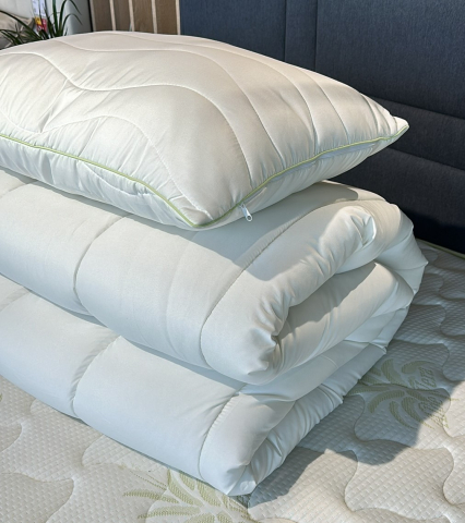 Set Plapuma + 1 pernă Relaxe Home Aloe Vera 145 x 210 cm [4]