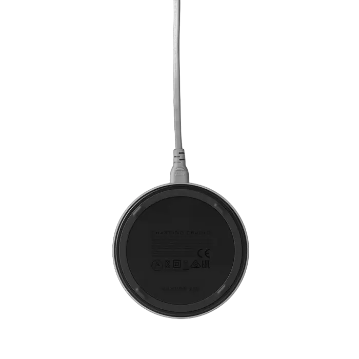 Портативная Колонка Harman Kardon Citation 200 (Серый) [2]