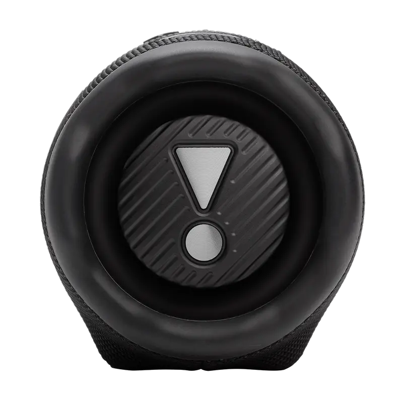 Портативная Колонка JBL Charge 6 (Черный) [4]