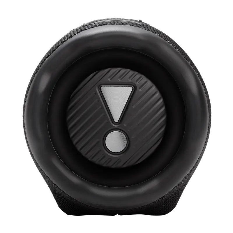Портативная Колонка JBL Charge 6 (Черный) [3]