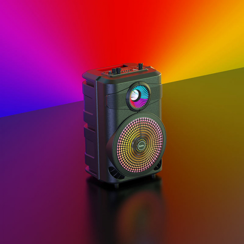 BS46 Mature outdoor BT speaker [6]
