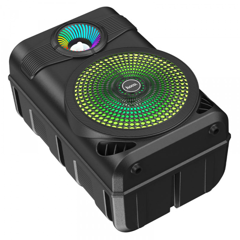 BS46 Mature outdoor BT speaker [3]