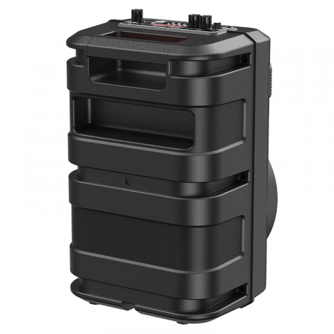 BS46 Mature outdoor BT speaker [4]