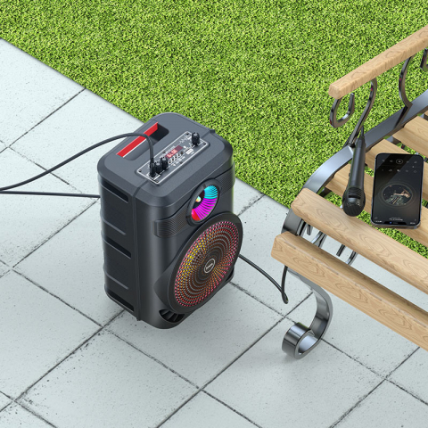BS46 Mature outdoor BT speaker [5]