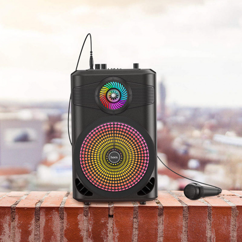 BS46 Mature outdoor BT speaker [7]