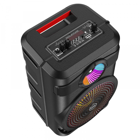 BS46 Mature outdoor BT speaker [2]