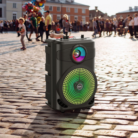 BS46 Mature outdoor BT speaker [1]