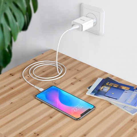 Incarcatoare - C81A Asombroso single port charger set(Micro)(EU)