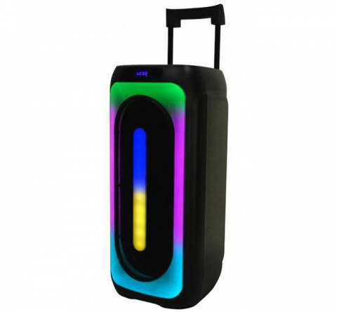 Eden Party Speaker ED-1015 cu 2 Microfoane Wireless 100W, Negru